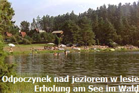Jezioro w lesie See im Wald
